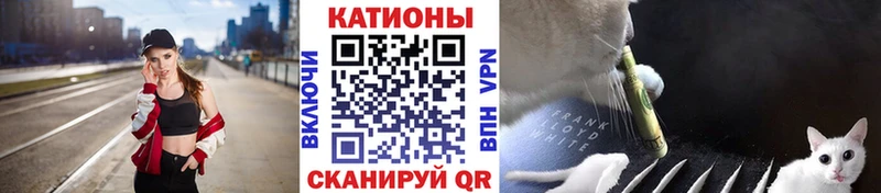 где можно купить наркотик  Шагонар  МЯУ-МЯУ мяу мяу 